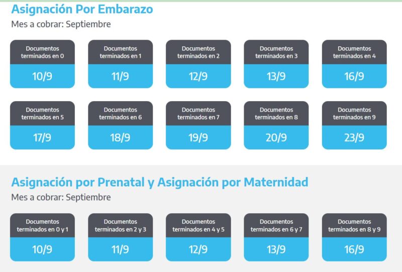 ANSES | Se confirmó el calendario de pago de jubilaciones, AUH y otras prestaciones en septiembre 7 anses4 - 6