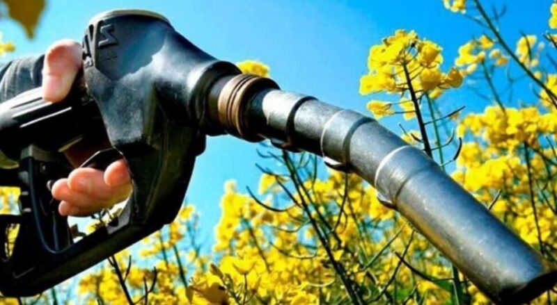 Golpe al bolsillo | El Gobierno autorizó aumentos en el precio del biocombustible biocombustible - 2