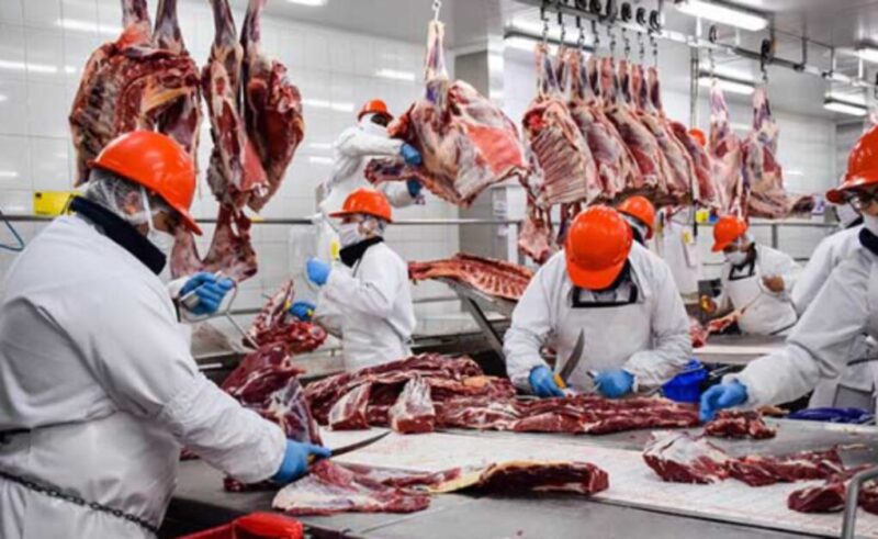 Carne Vacuna | Según los mercados, las exportaciones crecieron un 23% en agosto carne 1 1 - 1