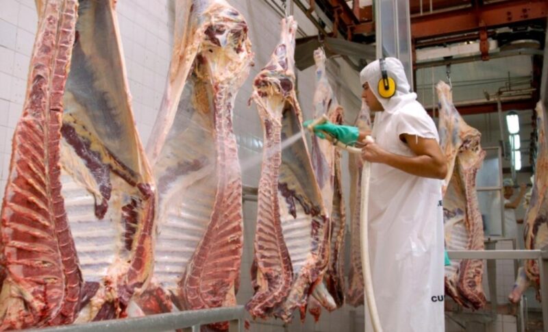 Exportaciones | Argentina expande el mercado cárnico a China con cuatro nuevas plantas carne 1 2 - 2