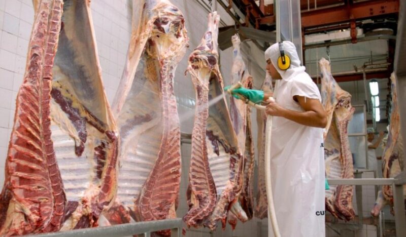 Carne Vacuna | Según los mercados, las exportaciones crecieron un 23% en agosto 4 carne 2 - 3