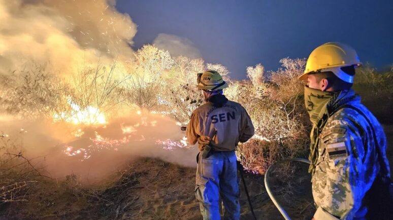 Paraguay | Los incendios forestales en la región occidental arrasaron más de 84.000 hectáreas 3 incendio 1 - 2