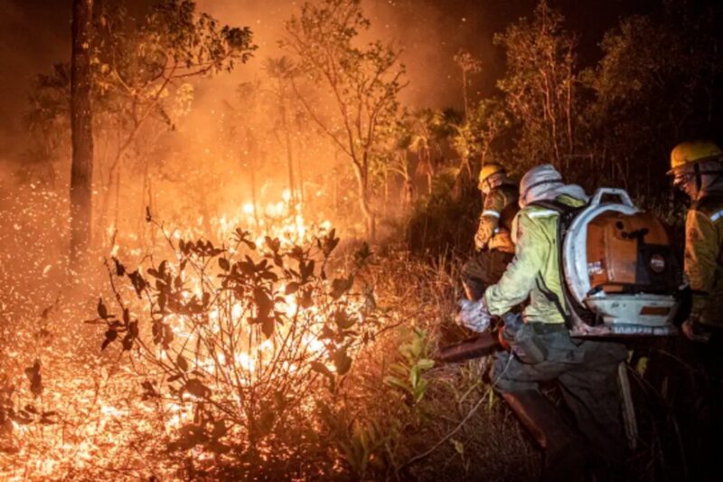 Brasil | El Supremo Tribunal autoriza presupuesto extra para combatir incendios forestales incendios2 1 - 3