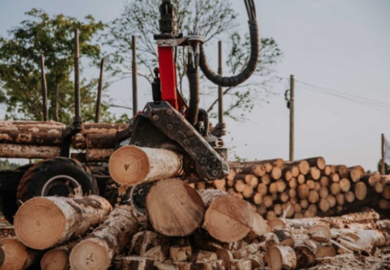 Reunión del Colegio de Ingenieros Forestales y Ecología | “El sector está prácticamente paralizado” ingenieros 1 - 2