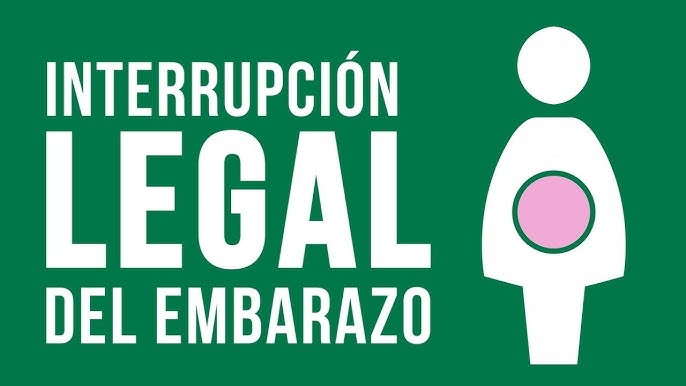 IVE en Argentina | “Desde que esta ley existe, las muertes por aborto se redujeron casi a la mitad”, afirmó Mercedes Krause ive - 1