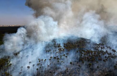 Humo en el Ambiente | Alerta en todo el país por la lluvia negra 3 lluvia negra2 - 2