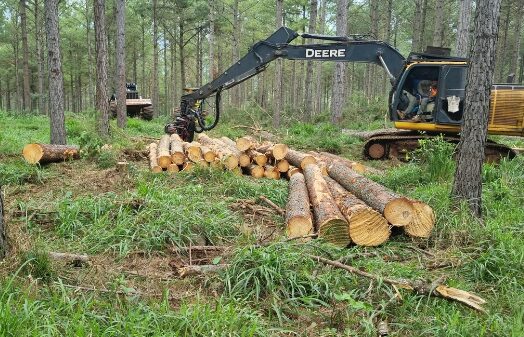 Reunión del Colegio de Ingenieros Forestales y Ecología | “El sector está prácticamente paralizado” 4 madera - 3