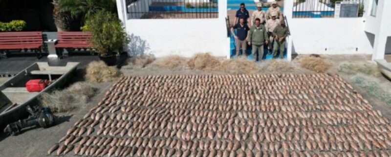 Corrientes | Sorprendieron a depredadores con más de 800 pescados en una zona de reserva pescado 1 - 1