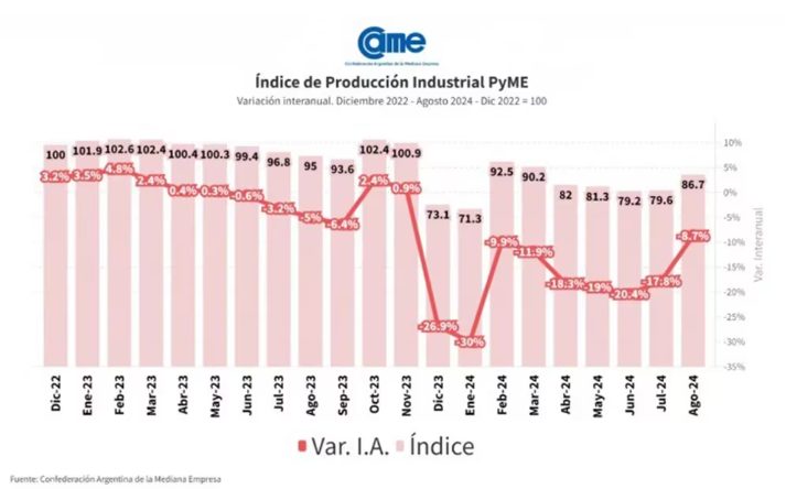 PYME | La actividad cayó 8,7% interanual en agosto y acumula 8 meses seguidos en descenso 2 pyme2 - 1