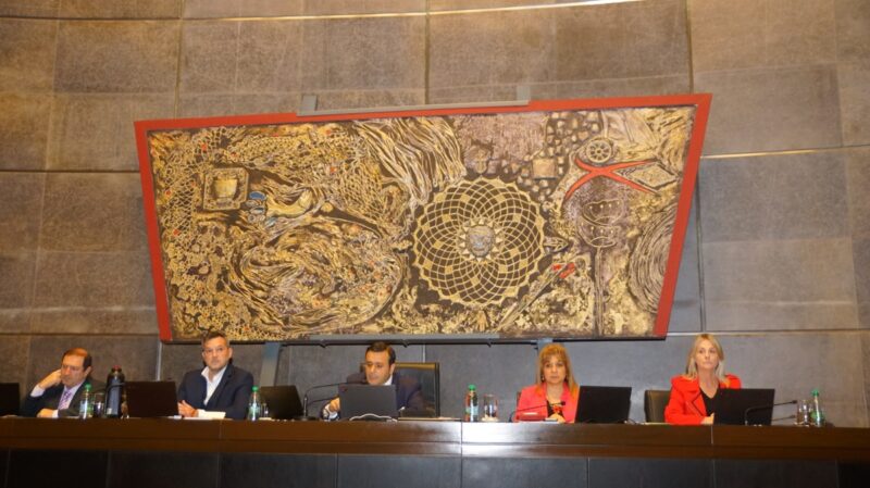 Ley mordaza en Misiones | “La Renovación no puede manejar las redes y van por cercenar todas las libertades de expresión” 13 titula de la Legislatura Herrera Ahuad en la sesion en que aprobaron la ley mordaza o ley de la fiscalia en ciberdelitos - 12