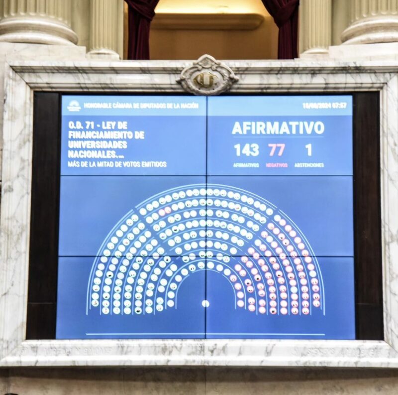 Ley de Financiamiento Universitario | Arrúa rompió el silencio y adelantó que votará contra el veto de Milei 7 Ley de Financiamiento Universitario votacion en diputados - 6