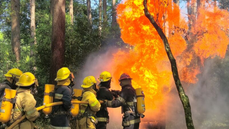 Bomberos Voluntarios de Eldorado en riesgo | “No se reciben los fondos y así la situación es insostenible” Bomberos de Eldorado