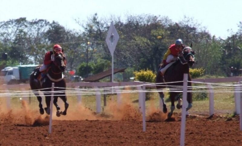 Otra tragedia en el Hipódromo de Posadas | Apuestas ilegales millonarias, mucho público y un nuevo caballo muerto Hipódromo de Posadas