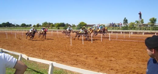 Carreras de caballos en Posadas | “Año a año nos encontramos con este tipo de casos y es lamentable” Copa challenger