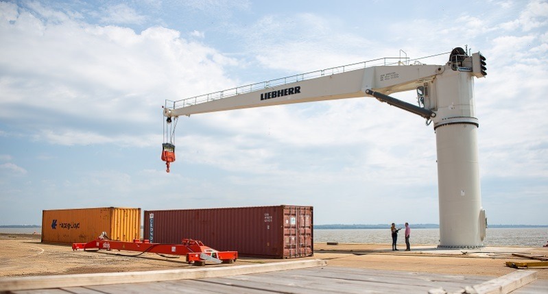 Exportaciones | Misiones tuvo un repunte del 25% en valores y 45% en volumen, pero las divisas escasean exportaciones en Misiones
