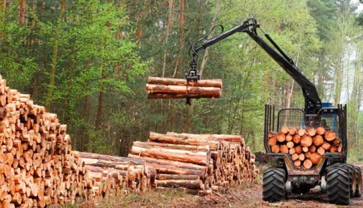 Se presentó el inventario forestal del Ministerio del Agro | “Tenemos una masa envejecida, que no genera riqueza ni beneficio ambiental” inventario forestal