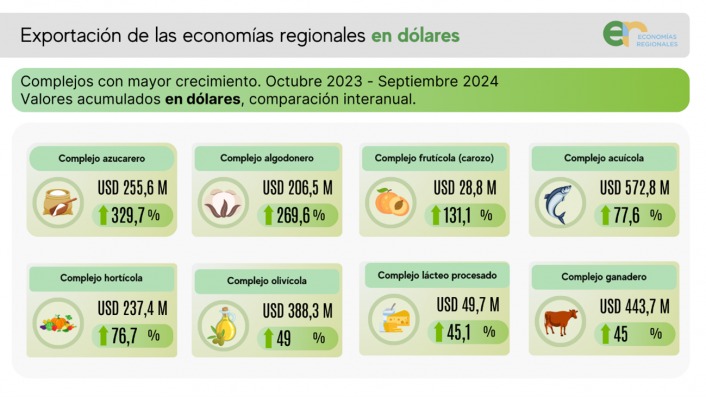 Según la CAME | En septiembre, las exportaciones de las economías regionales alcanzaron los USD 8.649 millones 4 WhatsApp Image 2024 10 27 at 15.02.39 - 3