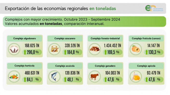 Según la CAME | En septiembre, las exportaciones de las economías regionales alcanzaron los USD 8.649 millones 6 WhatsApp Image 2024 10 27 at 15.02.42 - 5