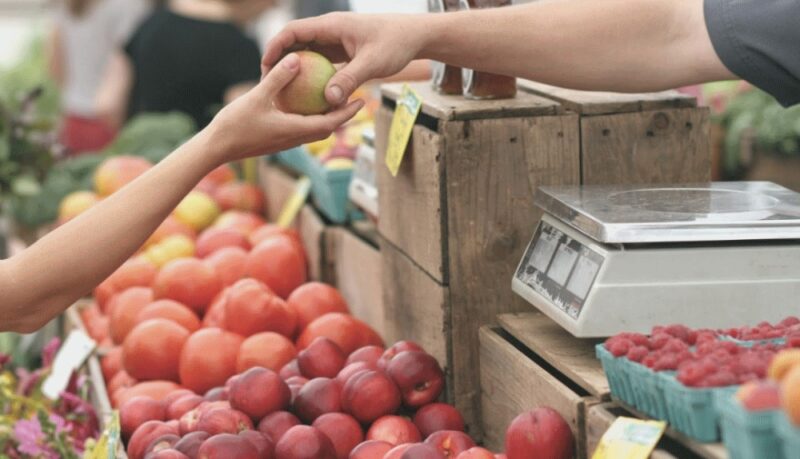 Integración comercial | “La importación no significa destruir un mercado” importación