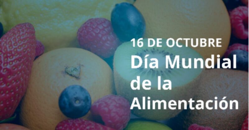 alimentacion 1 - 7