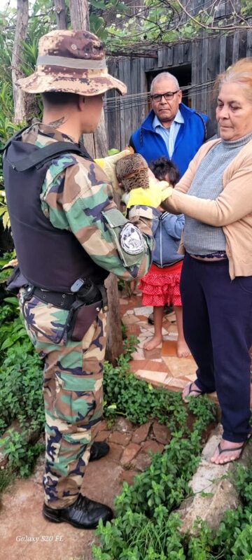 Misiones | Rescataron animales silvestres que se encontraban en peligro en áreas urbanas 7 animales silvestres 6 - 6