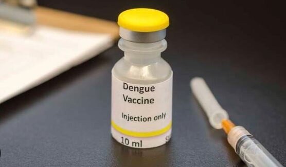 Dengue | Una enfermedad conocida, que reaparece cada verano 3 dengue2 - 2