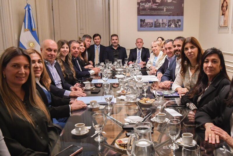 Ley de Financiamiento Universitario | El PRO anunció que respaldará el veto de Milei 5 diputados y senadores del PRO - 4