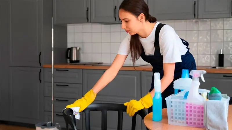 Sube el servicio doméstico | Cuál es el precio por hora de trabajo 8 empleadas domesticas aumento de sueldo agosto 2024jpg - 7