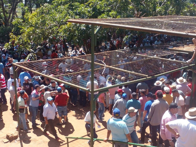 Fuerte acusación sobre las apuestas ilegales y la muerte de equinos en el Hipódromo 5 hipodromo gente - 4