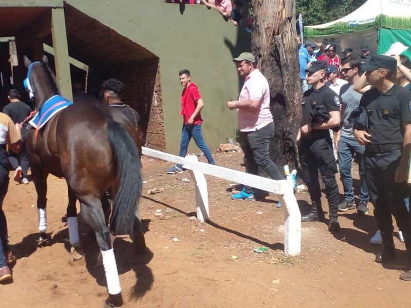 Fuerte acusación sobre las apuestas ilegales y la muerte de equinos en el Hipódromo 7 hipodromo - 6