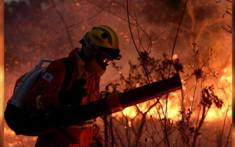 incendios 1 - 6