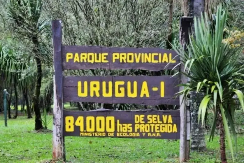Hallan campamento de caza, trampas y buscan a 4 cazadores en el Parque Provincial Urugua-í 4 md 5 - 3