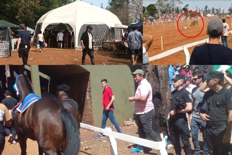 Fuerte acusación sobre las apuestas ilegales y la muerte de equinos en el Hipódromo muerte de una yegua intoxicada en plena carrera en el hipodromo de Posadas en un evento del jockey club - 1