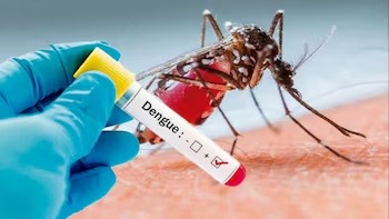 Argentina lanzó su primer test de antígeno nacional para detectar el dengue dengue