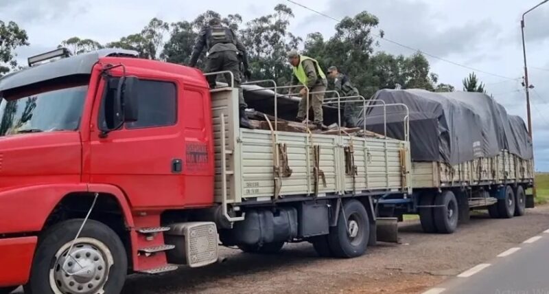 Corrientes | Interceptaron un camión que trasladaba cobre, bronce y aluminio valuados en más de 177 millones de pesos camion con metales en Corrientes