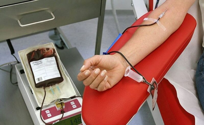 donante voluntario de sangre