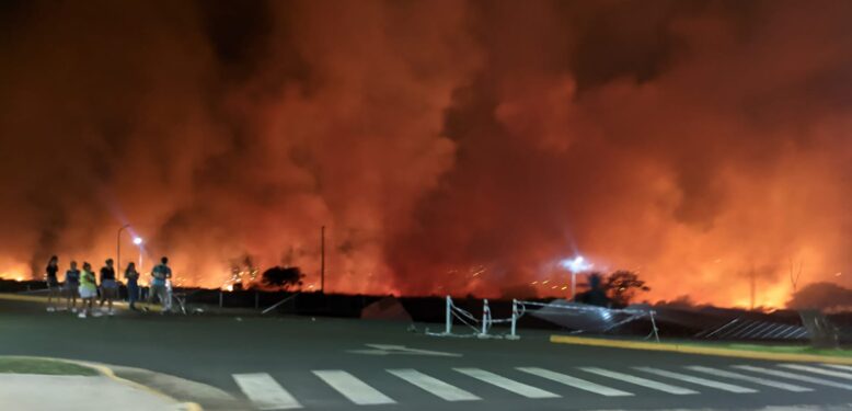 acceso - 1
