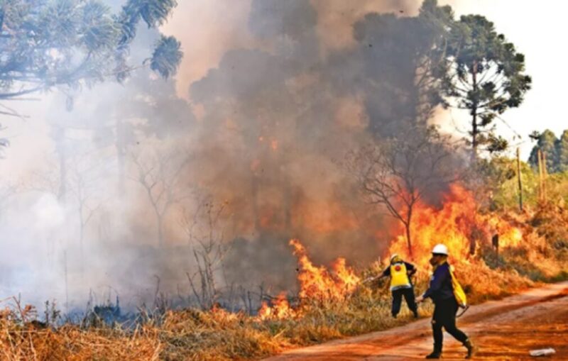 Arde Misiones | Hubo más de 120 operativos para controlar incendios en los primeros 10 dias de enero incendio 1 - 2