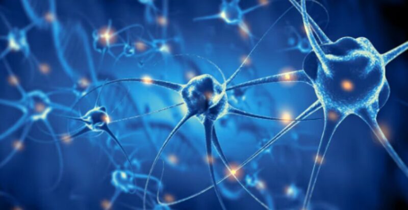 neuronas 1 - 7