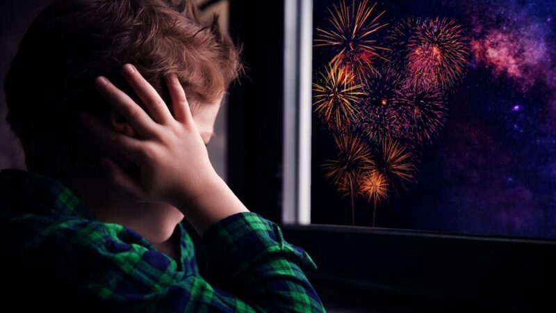 Navidad silenciosa | Un llamado a la reflexión y respeto durante las celebraciones de fin de año pirotecnia misiones
