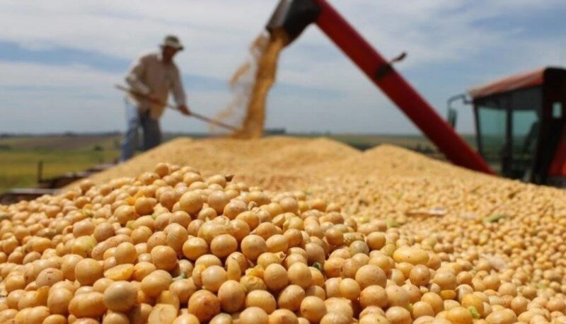 Las exportaciones de las economías regionales siguen creciendo y registran un superávit de US$7.863 millones exportaciones