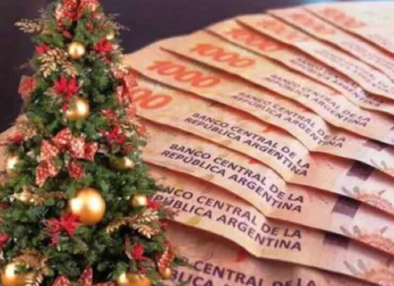 Bono de fin de año | Siete provincias otorgarán ayudas a empleados públicos, que alcanzan hasta $1,3 millones bono 1 - 6