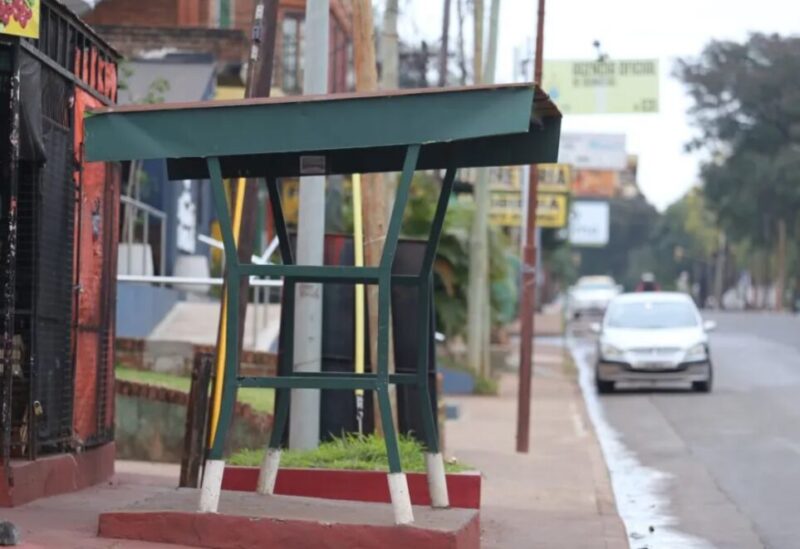 colectivos - 3