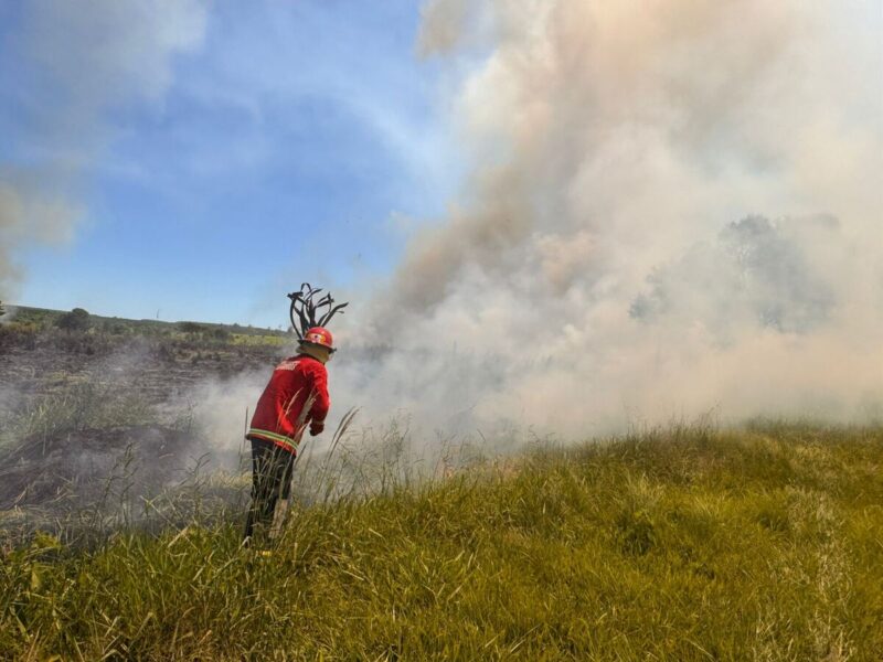 Posadas en riesgo extremo por peligrosidad de incendios incendio - 7