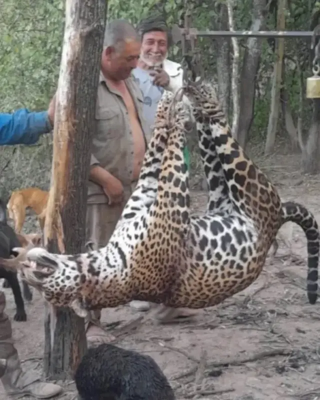 Histórico | La Justicia Federal se hará de los atropellos, caza ilegal y comercio de fauna 7 1376319w790h987c.jpg - 6