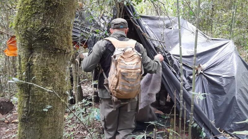 Tres cazadores, armados y con un oso melero faenado detenidos en el Parque Provincial Urugua-í 4 1503cazadores furtivos 1326594 - 3