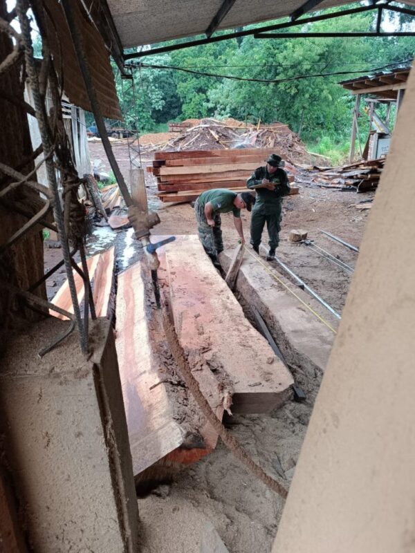 El dueño del aserradero donde hallaron la madera nativa talada y robada en el Parque Piñalito fue detenido 3 1b66cc8f 96f6 4b80 a42f cb5c3aa2da23 768x1024 1 - 2