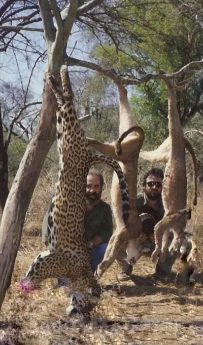 Histórico | La Justicia Federal se hará de los atropellos, caza ilegal y comercio de fauna 5 3 e1707266011916 - 4