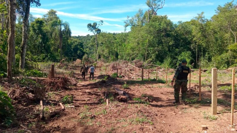 Robo en Piñalito | Encontraron la máquina con la que habrían robado la madera nativa y trasladaron a guardarques 8 966e8cb0 7041 414c a535 b348e02427de 1536x864 1 - 7