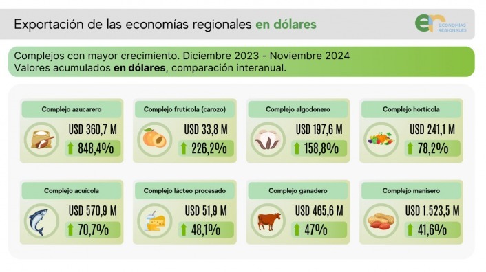 Según la CAME | En noviembre, las exportaciones de las economías regionales alcanzaron los USD 8.941 millones 6 WhatsApp Image 2025 01 06 at 11.05.10 2 - 5